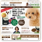 【危険？】カナガンドッグフードを愛犬に試したperfumeの口コミ評判!