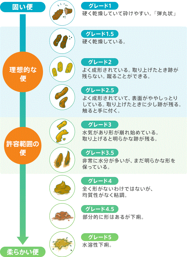 モグワンは低カロリー?!ダイエットが必要な肥満犬におすすめできる？