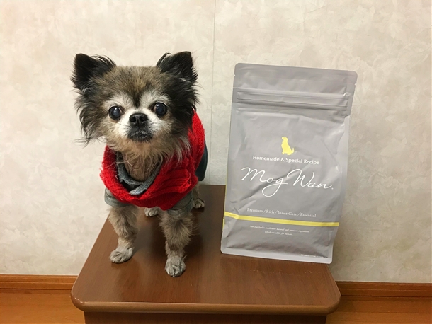 【危険？】モグワンドッグフードを愛犬に試したperfumeの口コミ！