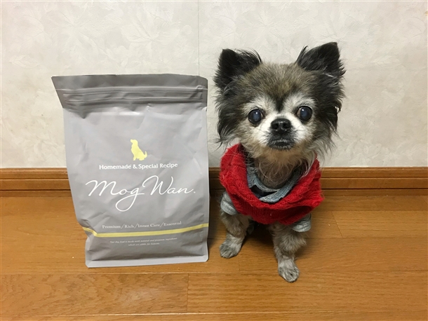 【危険？】モグワンドッグフードを愛犬に試したperfumeの口コミ！